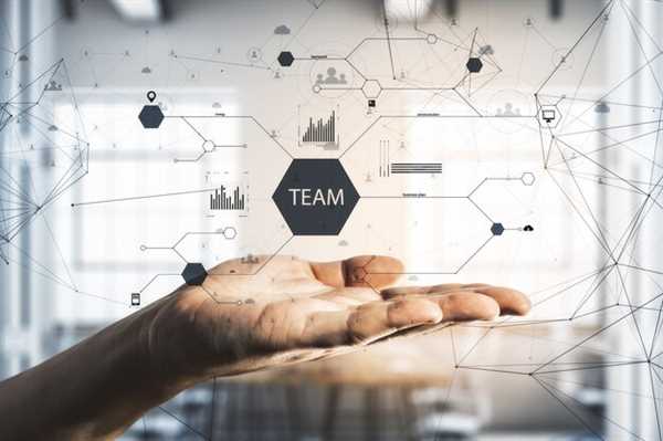 How successful teams structure their operations