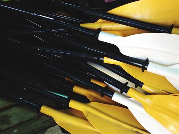 Shifts in Fan Engagement Strategies Across Global Markets